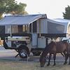 RV for Sale: 2009 EVOLUTION SERIES E1