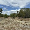 Photo of Mobile Home Lot