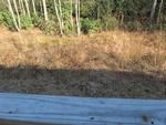 Photo of Mobile Home Lot