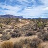 Mobile Home Lot for Sale: Manufactured Home - Meadview, AZ, Meadview, AZ