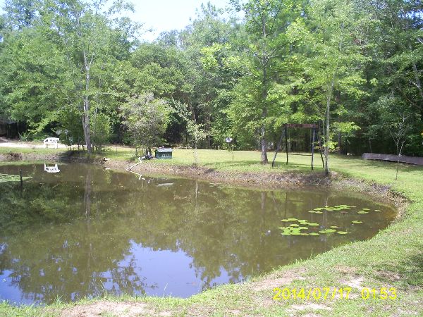 Photo 2 of Fishing Pond with Center Waterfall