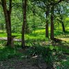 Mobile Home Lot for Sale: Acreage W/Res, Single Family,Mobile Home,Doublewide - Malakoff, TX, Malakoff, TX