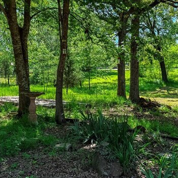Photo of Mobile Home Lot