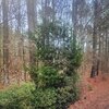 Photo of Mobile Home Lot