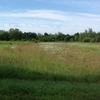 Photo of Mobile Home Park