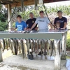 RV Park for Sale: PA Campground for Sale - Fisherman's Paradise, , PA
