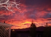 Photo of Rv Park