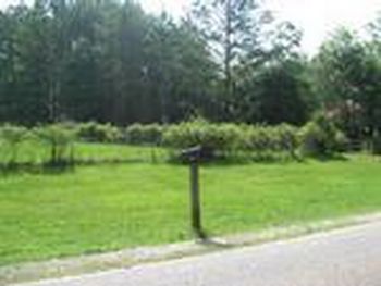 Photo of Mobile Home Lot