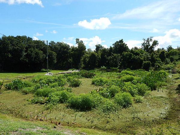 Photo of Mobile Home Park