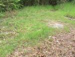 Photo of Mobile Home Lot