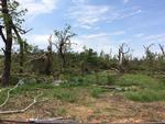Photo of Mobile Home Lot