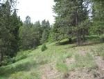 Photo of Mobile Home Lot