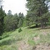 Photo of Mobile Home Lot