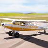 Aircraft for Sale: PIPER PA-12 SUPER CRUISER