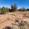 Photo of Mobile Home Lot
