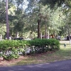 RV Lot for Rent: Salt Springs Resort, Salt Springs, FL