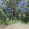 Mobile Home for Sale: 4 Bed 3 Bath 1910 Mobile Home