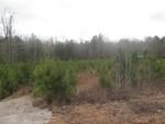 Photo of Mobile Home Lot