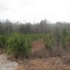Photo of Mobile Home Lot