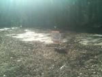 Photo of Mobile Home Lot
