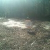Mobile Home Lot for Sale: SC, COLUMBIA - Land for sale., Columbia, SC