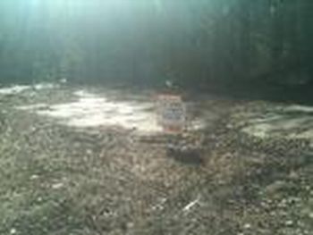 Photo of Mobile Home Lot