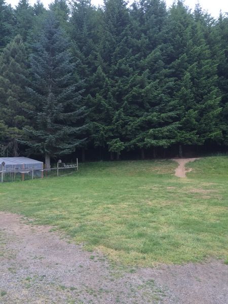 Photo of Mobile Home Park