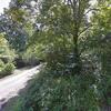Mobile Home for Sale: 1999 Mobile Home