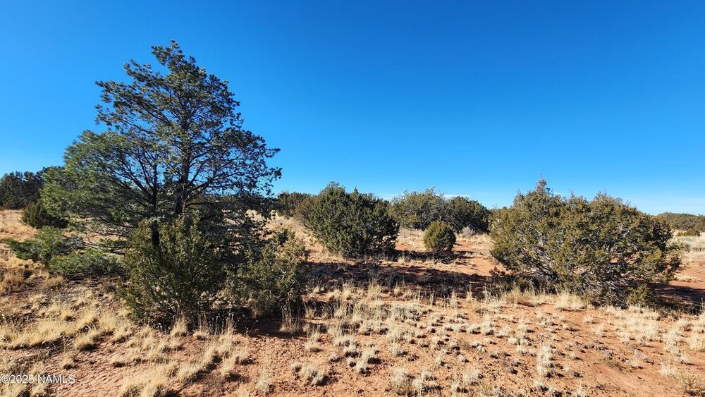 Photo of Mobile Home Lot
