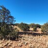 Photo of Mobile Home Lot