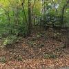 Mobile Home for Sale: 3 Bed 2 Bath 1980 Mobile Home