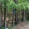 Photo of Mobile Home Lot
