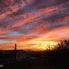 Photo of Mobile Home Lot