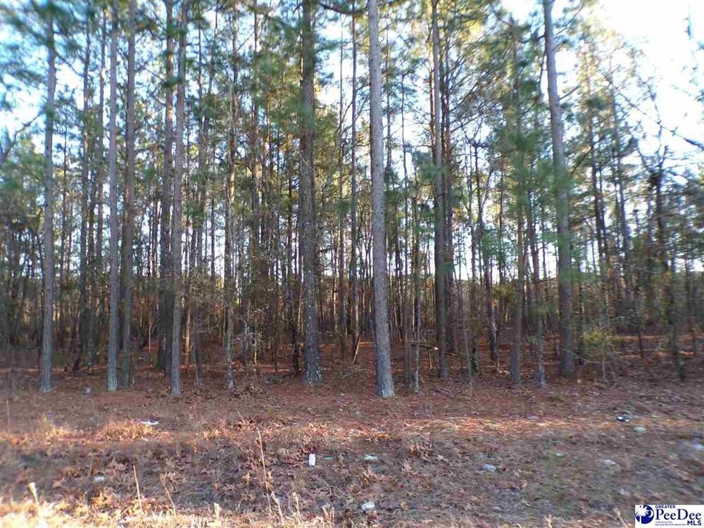 Photo of Mobile Home Lot