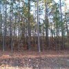 Photo of Mobile Home Lot