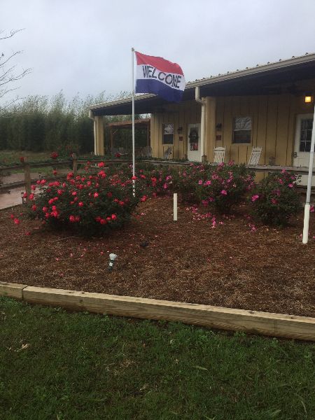 Photo of RV Lot