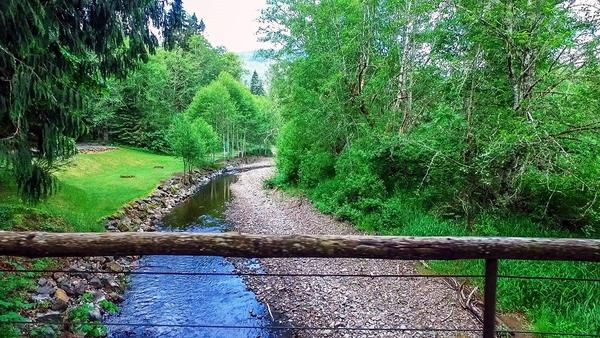Creek