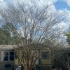 Mobile Home for Sale: Mobile Home, Mobile/Manufactured - Jacksonville, FL, Jacksonville, FL