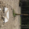Photo of RV Lot