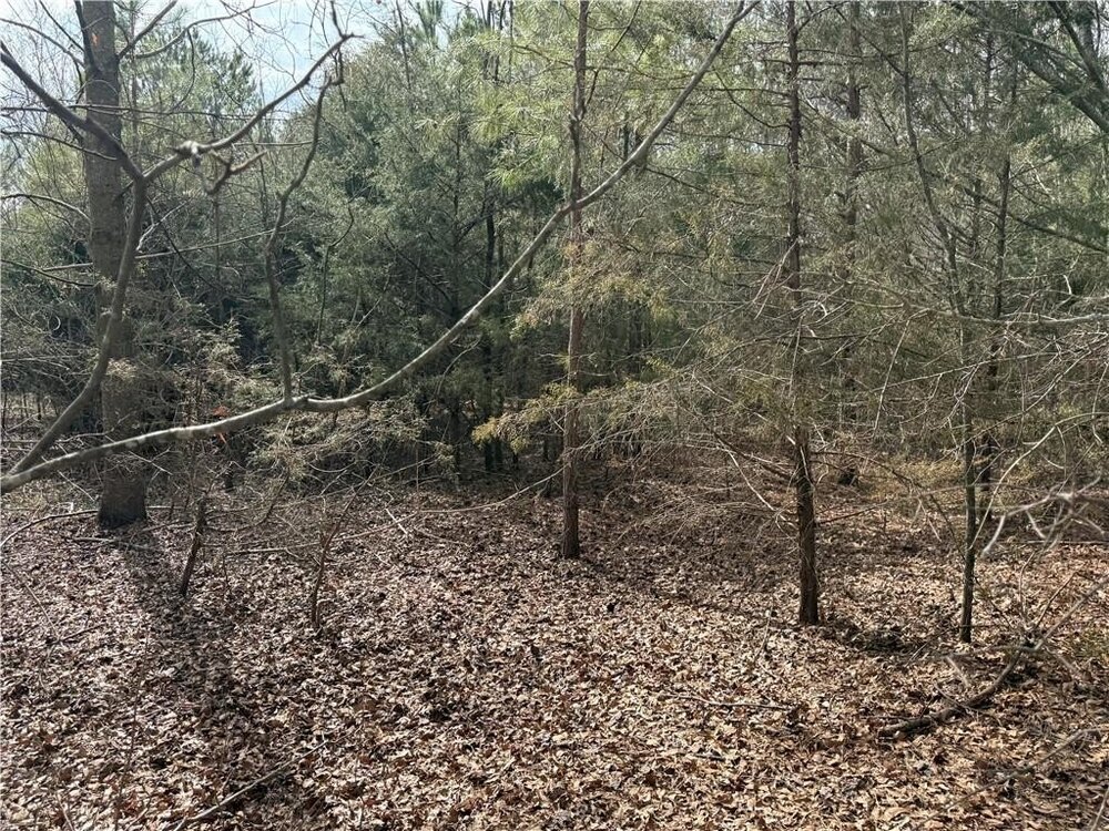 Photo of Mobile Home Lot
