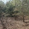 Photo of Mobile Home Lot