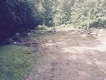 Photo of Mobile Home Lot