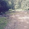 Mobile Home Lot for Sale: 1.03 acre Lot