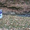 Photo of Mobile Home Lot