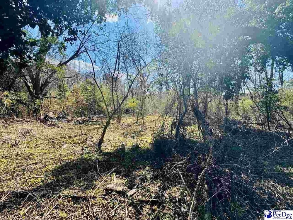 Photo of Mobile Home Lot