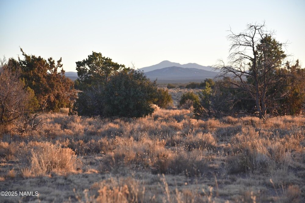 Photo of Mobile Home Lot