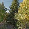 Mobile Home for Sale: 2 Bed 1 Bath 1961 Mobile Home