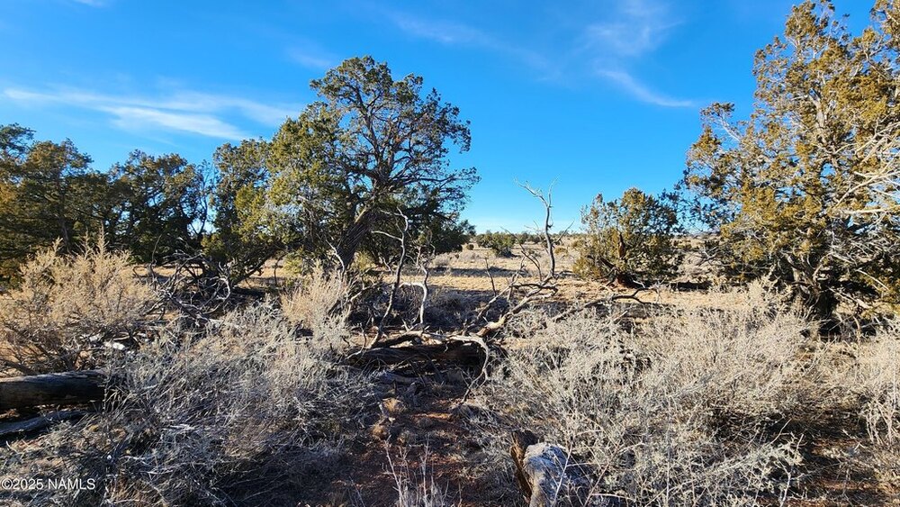 Photo of Mobile Home Lot