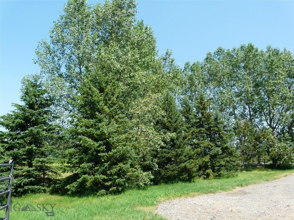 Photo of Mobile Home Lot