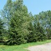 Photo of Mobile Home Lot